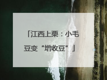 江西上栗：小毛豆变“增收豆”